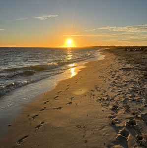 Meet your Posher, Amelia